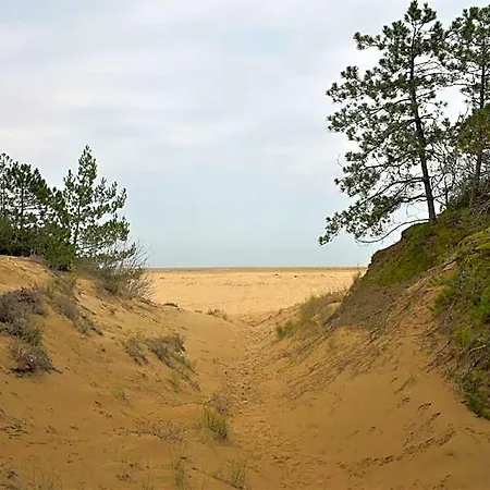 Otel Lovely Duplex For 6 Guests Surrounded By Greenery In Lignano Riviera Lignano Sabbiadoro